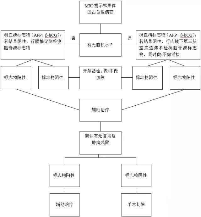 松果體<a href='/naoliu/' target='_blank'><u>腦瘤</u></a>