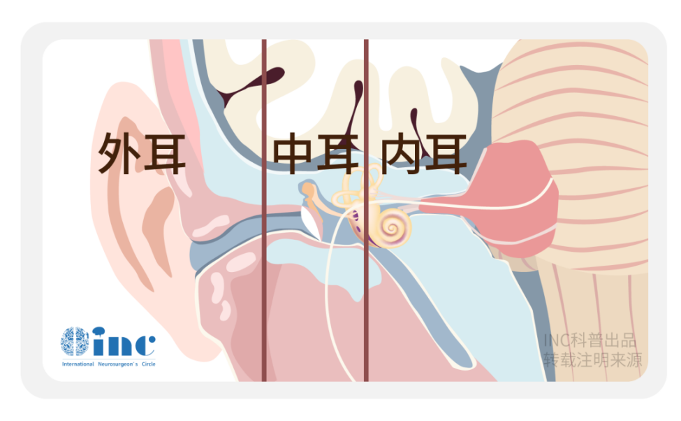 聽(tīng)神經(jīng)瘤手術(shù)