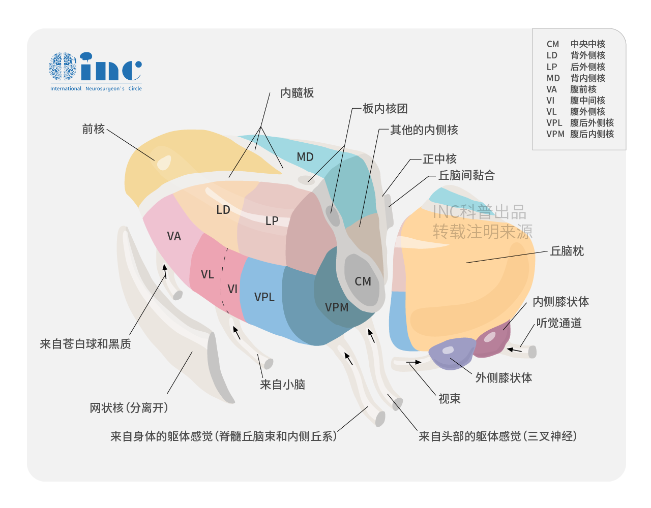 丘腦膠質(zhì)瘤手術(shù)