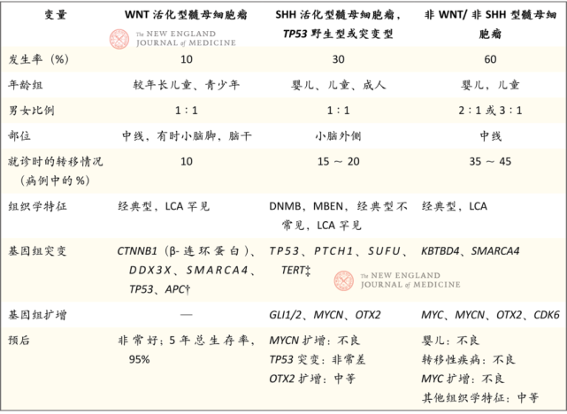兒童腦瘤髓母細(xì)胞瘤