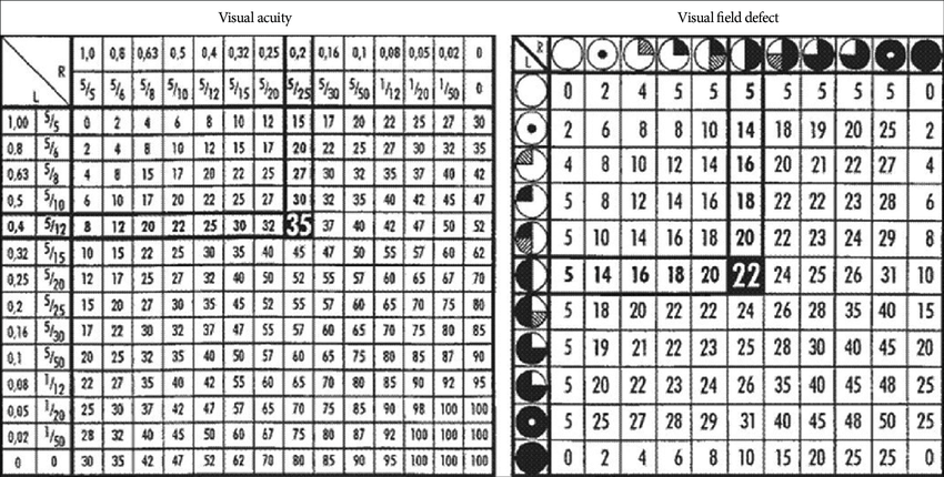 VIS(視力損害評(píng)分)