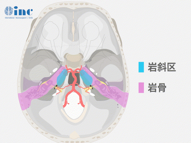 巖斜區(qū)解剖關(guān)系圖片