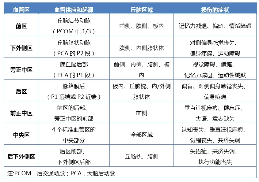 丘腦受損會導(dǎo)致