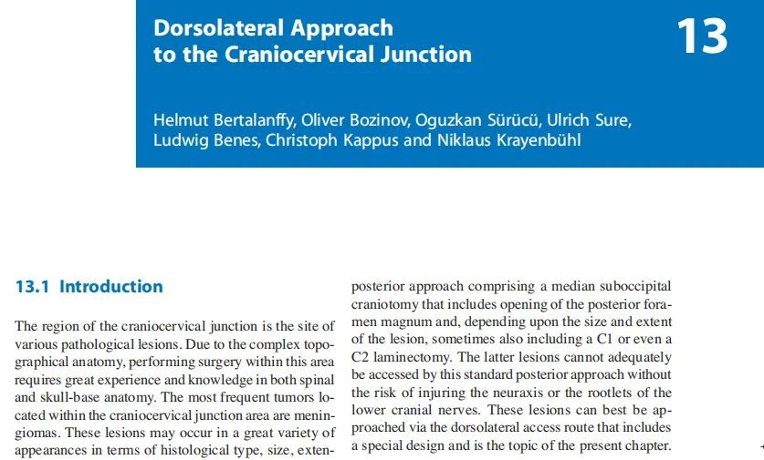 巴特朗菲教授在論文《Dorsolateral Approach to the Craniocervical Junction背外側(cè)入路到顱頸交界》中深入分析了顱頸交界區(qū)的各類病變