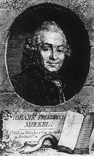 Johann Friedrich Meckel，the Elder  (1724.07.31-1774.09.18)