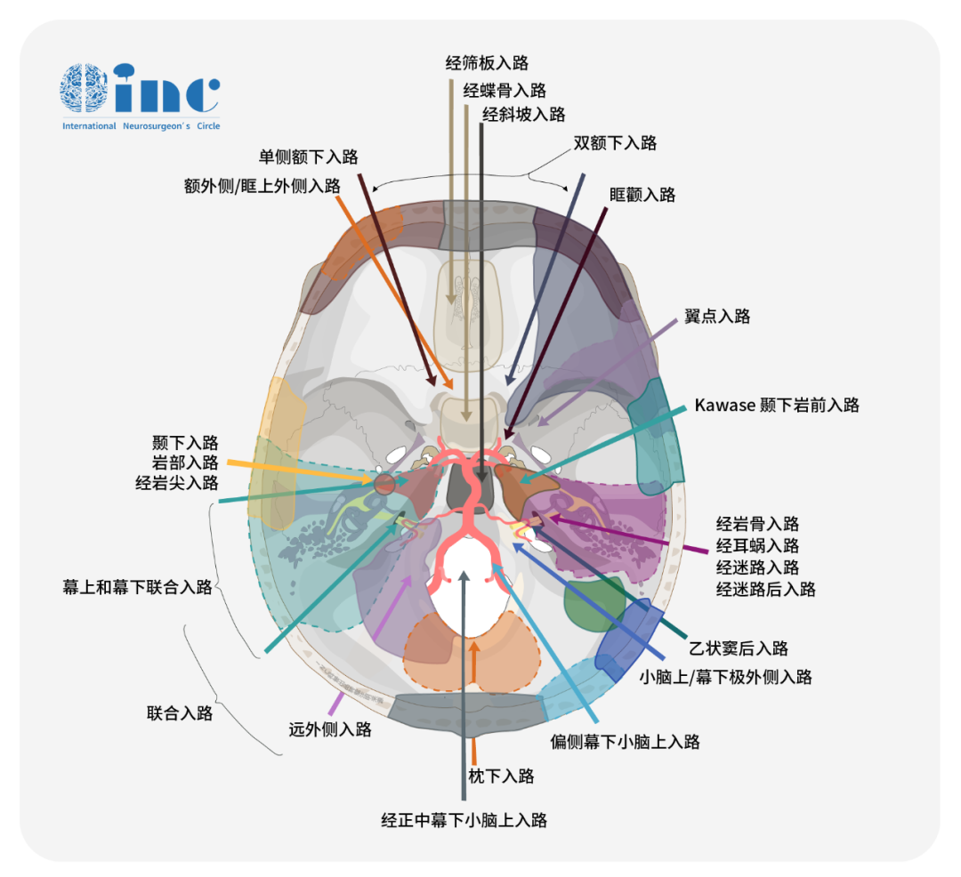 在神經(jīng)外科領(lǐng)域內(nèi)，可能很少有人比福教授將顯微鏡+內(nèi)鏡“雙鏡聯(lián)合”更好地運(yùn)用到這個(gè)復(fù)雜而神秘的區(qū)域了。