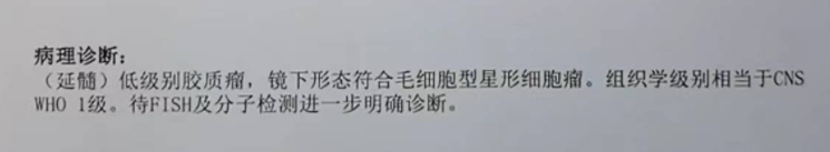 浩宇術(shù)后病理