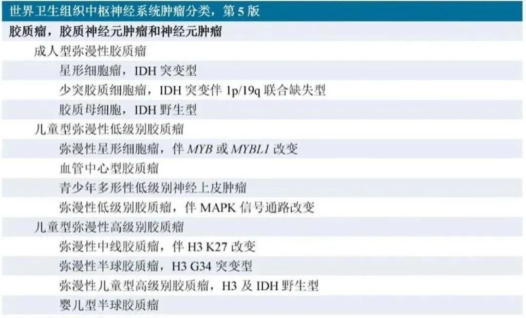 第5版《WHO中樞神經(jīng)系統(tǒng)腫瘤分類》根據(jù)組織學(xué)和分子病理學(xué)特點(diǎn)將彌漫性膠質(zhì)瘤分為“成人型”和“兒童型”。
