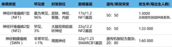 顱內(nèi)腦膜瘤在NF2患者中通常是多發(fā)的，且發(fā)病年齡較輕，大約45%至58%的患者會出現(xiàn)顱內(nèi)腦膜瘤，而脊柱腦膜瘤的發(fā)生率約為20%。在本研究中，NF2患者的預(yù)期壽命明顯縮短，長期生存率不佳，死亡時的平均年齡為40歲。