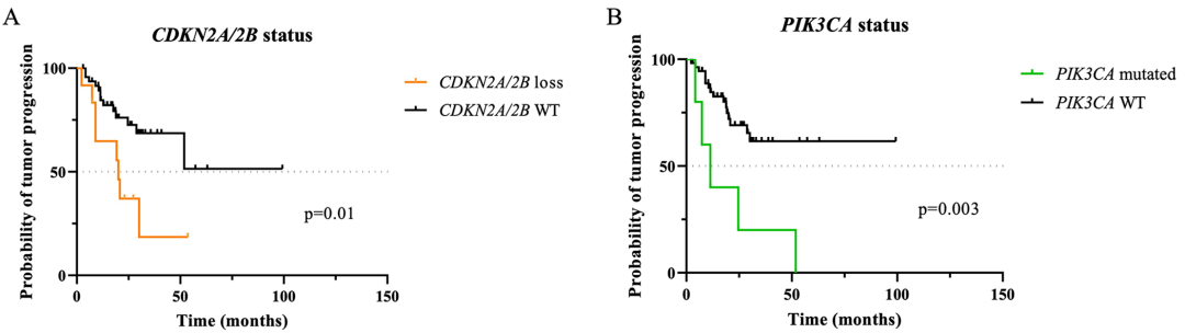 60 個相應脊索瘤樣本中 CDKN2A/2B 缺失 (A) 和 PIK3CA 突變狀態(tài) (B) 對無進展生存期PFS 的預后價值(單變量分析)。WT = 野生型。