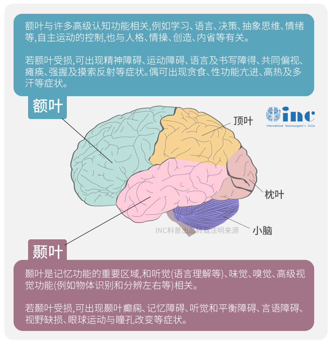 長期腦缺血導(dǎo)致神經(jīng)元不可逆損傷