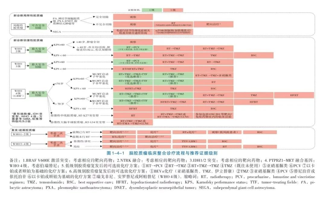 中國抗癌協(xié)會腦膠質(zhì)瘤整合診療指南(2024版)