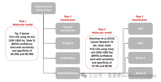 圖3. 使用PIRL-MS對主要兒科腦癌進行監(jiān)督式兩步分類的協(xié)議。通過結(jié)合本文的研究成果與我們之前的工作，我們提出了一種用于在10秒內(nèi)對7種兒科腦癌進行分類的監(jiān)督式兩步協(xié)議。該方法使用兩個包含4個組件的PCA-LDA模型，部署在引用的質(zhì)量范圍內(nèi)，以提供高于94%的敏感性和特異性，用于兒科腦癌類型的分類。第一個模型僅使用18種代謝物的特征列表，這些代謝物的特征已經(jīng)明確;第二個模型則深入探討髓母細胞瘤的分子亞組，將使用大量m/z特征，其中一些目前尚未明確。