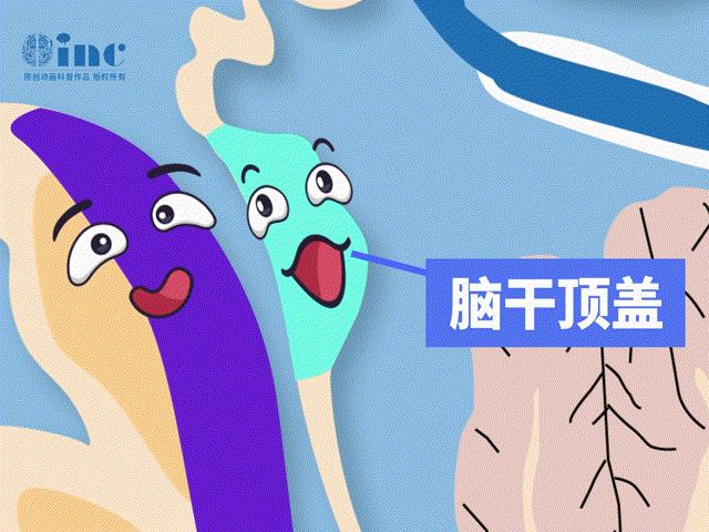 腦干頂蓋