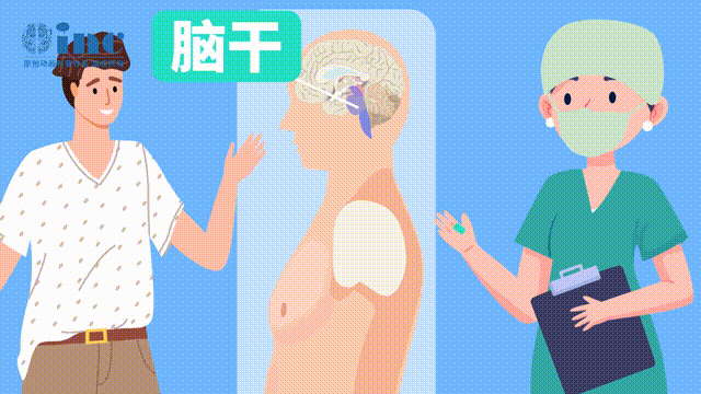 “禁區(qū)的手術(shù)”并沒那么容易，腦干部位深陷于腦的正中，無論哪個(gè)方向進(jìn)入都需要?dú)v經(jīng)艱險(xiǎn)才能到達(dá)，到達(dá)后因?yàn)椴课簧疃@露視野小、操作空間小，手術(shù)稍有不慎將會(huì)導(dǎo)致腦干損傷，所以手術(shù)存在著很大的風(fēng)險(xiǎn)和挑戰(zhàn)度。