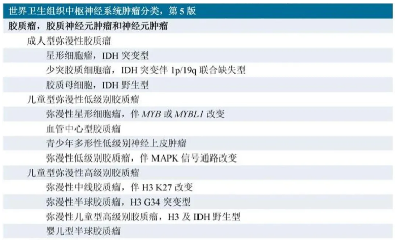 2021年第5版《WHO中樞神經(jīng)系統(tǒng)腫瘤分類》根據(jù)組織學(xué)和分子病理學(xué)特點(diǎn)將兒童型膠質(zhì)瘤單獨(dú)分為兩大類，即兒童型彌漫性低級(jí)別膠質(zhì)瘤和兒童型彌漫性高級(jí)別膠質(zhì)瘤。
