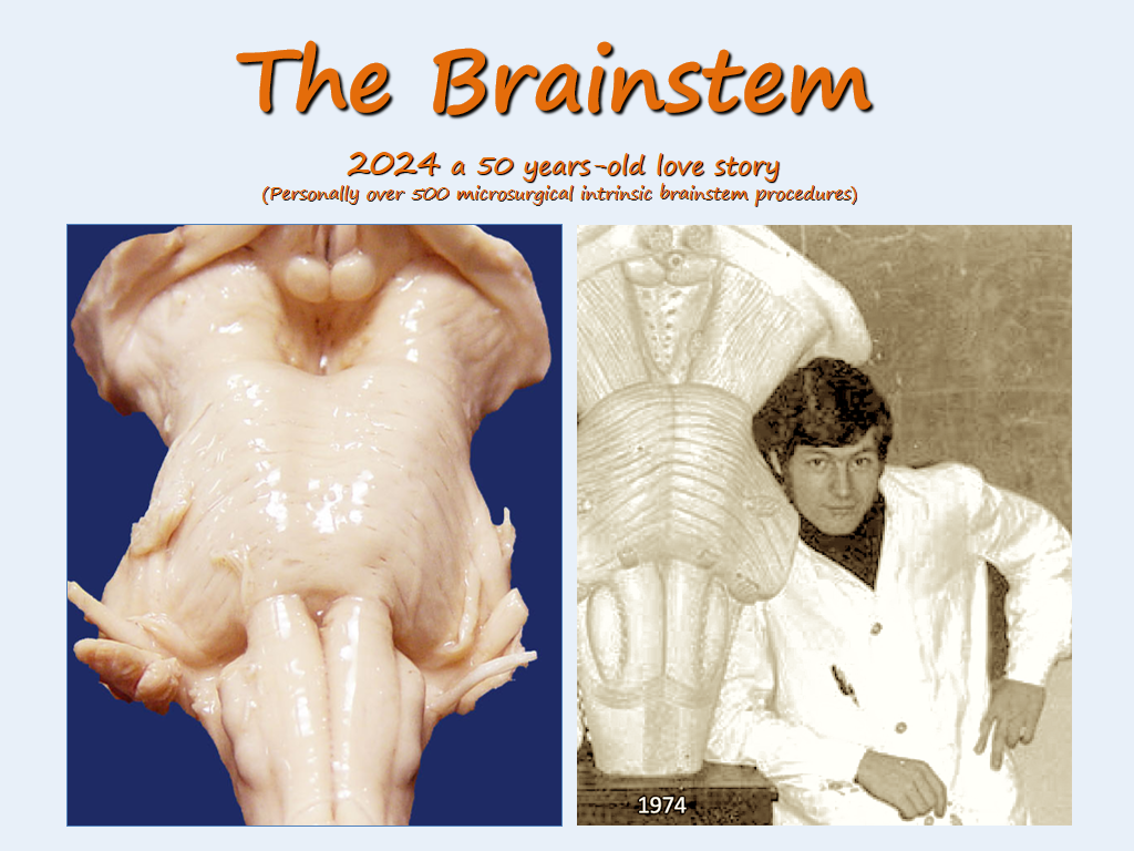 1974-2024，巴教授攜手腦干50年的“l(fā)ove story”。點(diǎn)擊圖片詳細(xì)了解