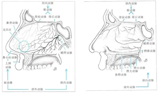 脊索瘤可以全切不復(fù)發(fā)嗎？