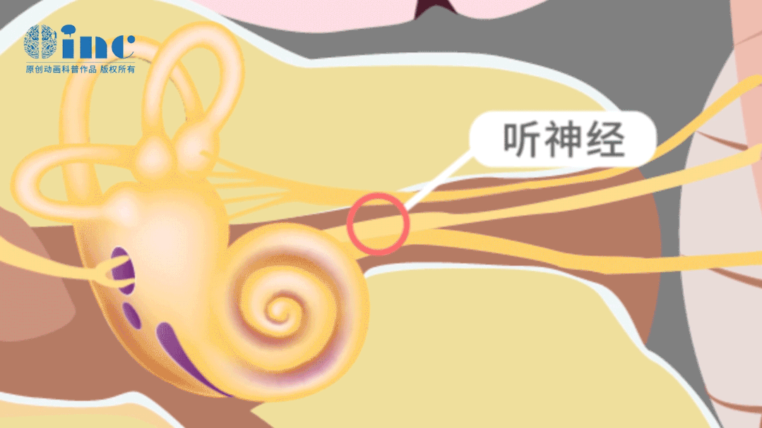 如果放任腫瘤繼續(xù)生長(zhǎng)，壓迫到小腦、腦干，生命安全可能就會(huì)受到威脅出現(xiàn)肢體癱瘓甚至昏迷。