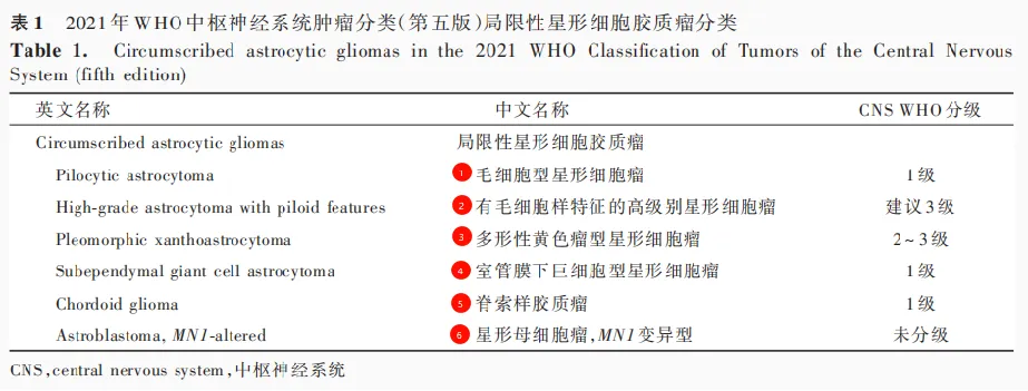 局限性星形細胞膠質(zhì)瘤的分類