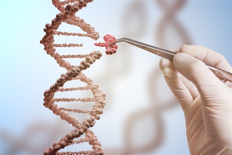 得了惡性腦膜瘤怎么辦？間變型腦膜瘤診療指南