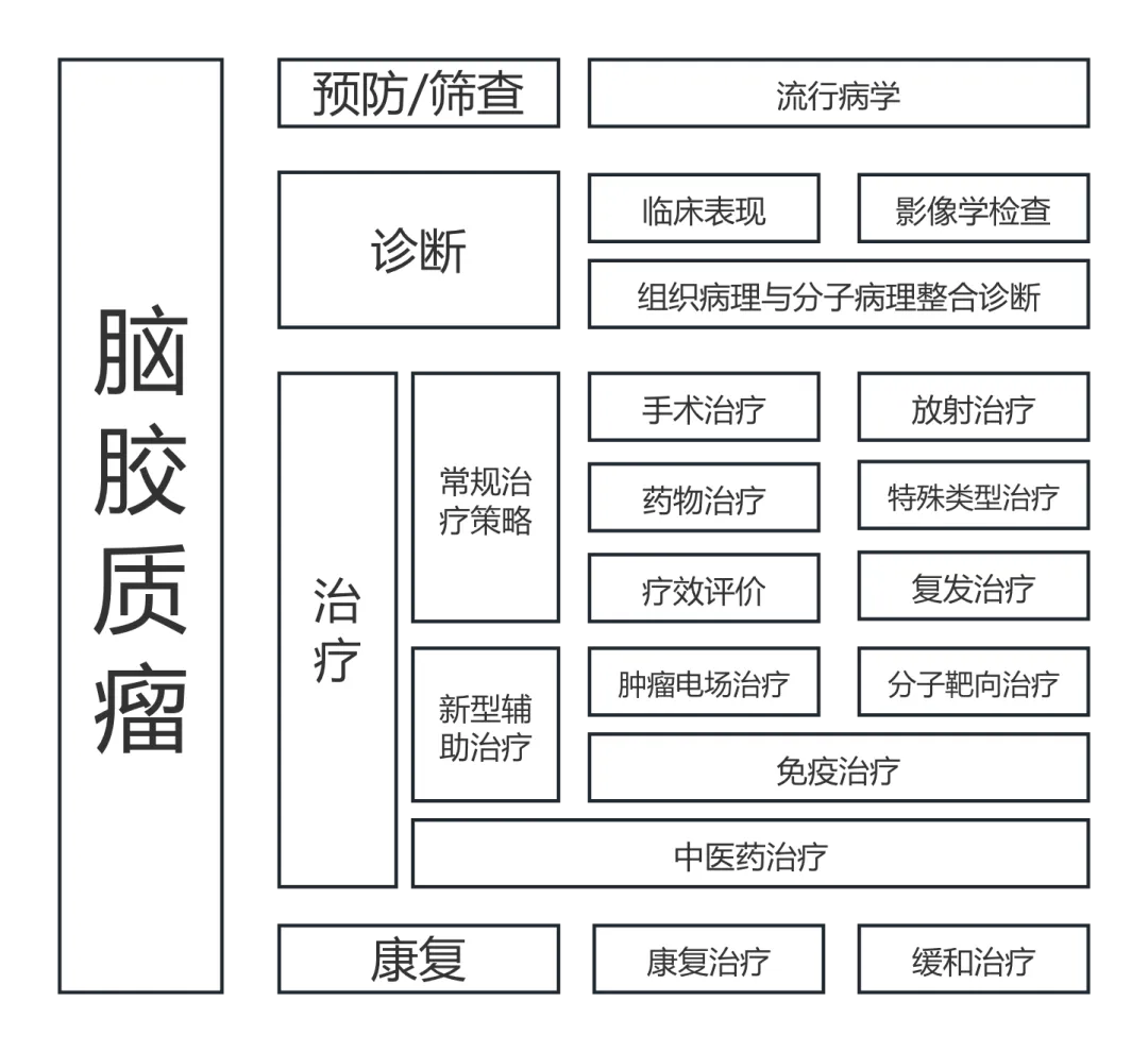 中國(guó)指南，比如中國(guó)腫瘤整合診治指南（CACA）——腦膠質(zhì)瘤(V2.0 2025)，內(nèi)容涵蓋包括診斷評(píng)估、手術(shù)、放療、藥物治療、康復(fù)等各方面。