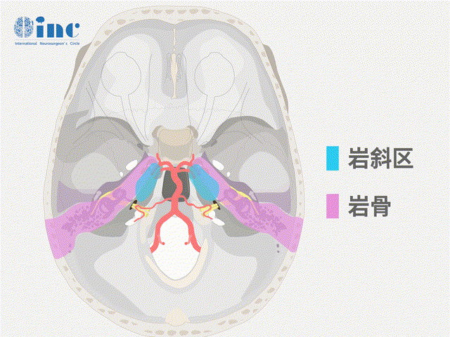 巖斜區(qū)解剖關(guān)系